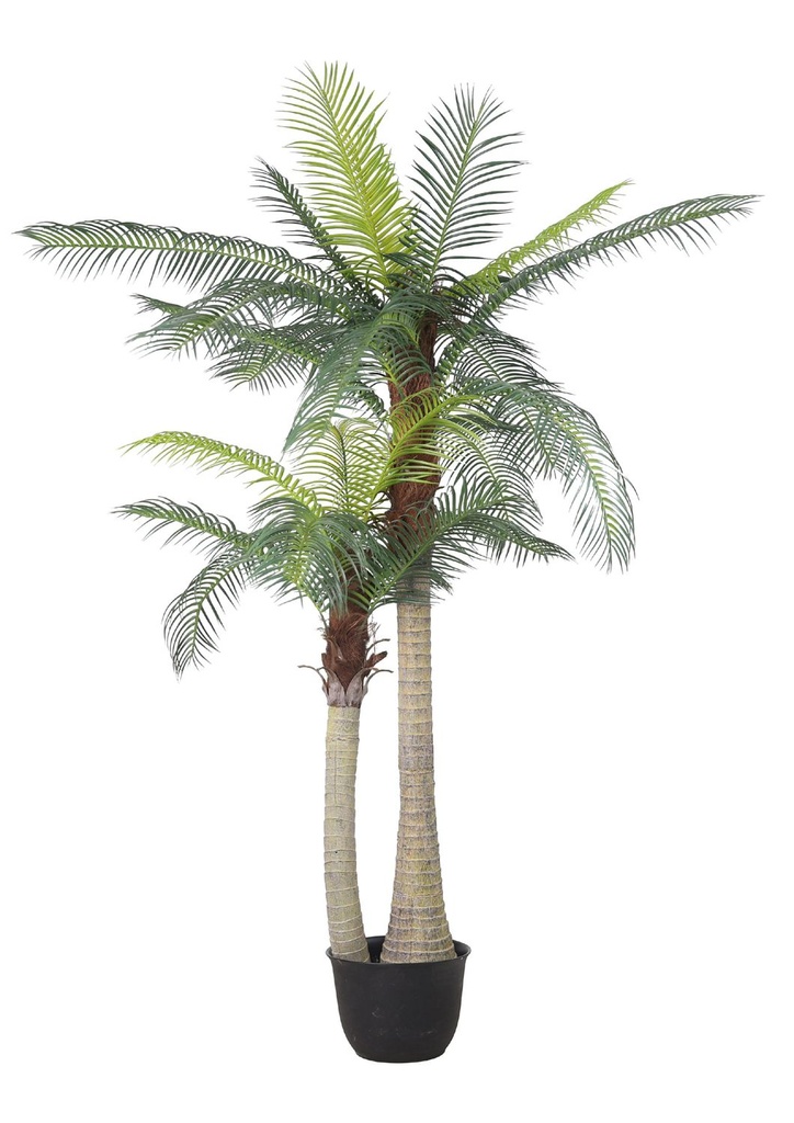 Planta artificial palmera de cola de pescado 98" (250 cm) - Decoraciones y plantas artificiales