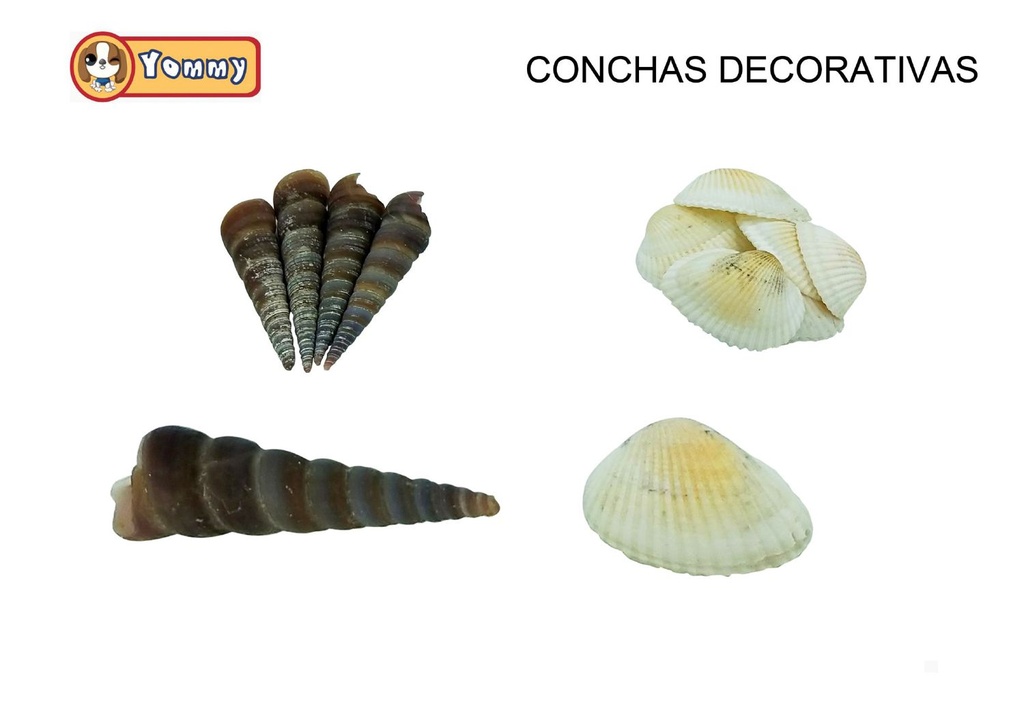 Conchas decorativas para acuarios 150 g - Decoración de acuarios