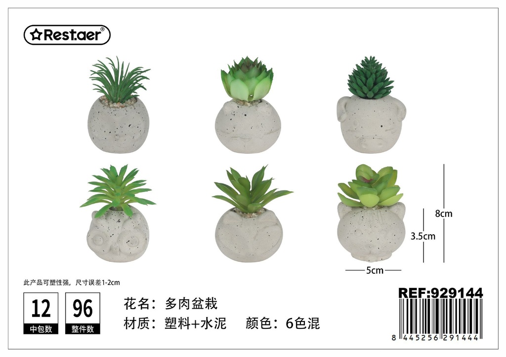Planta suculenta en maceta 8 cm - Flores artificiales y decoración