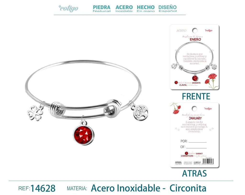 Brazalete de acero para nacimiento del mes de enero - Joyas de regalo por mes