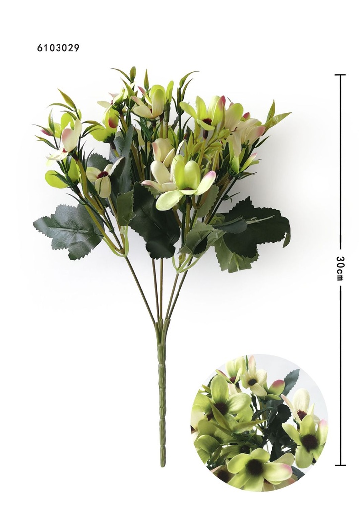 Ramo de orquídeas de 20 cabezas - Ramo decorativo
