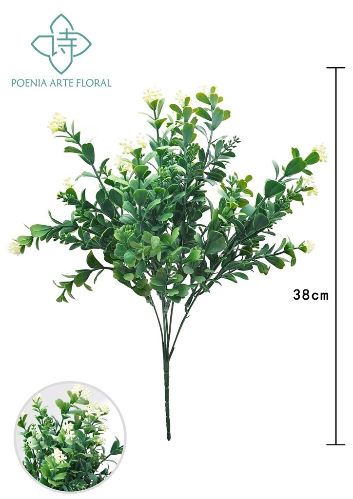 Ramo de hierbas de agua con pequeñas flores - Ramo decorativo - Serie de hierbas de agua