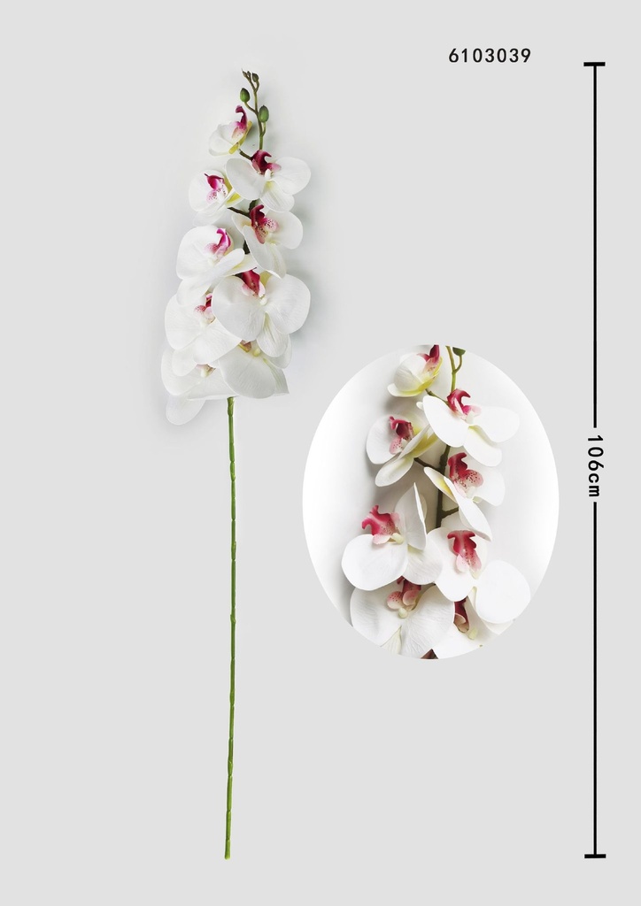 Ramo decorativo de orquídeas en 3D