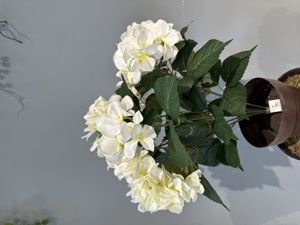 Bonsái artificial de mínimo M630809 blanco - Planta decorativa