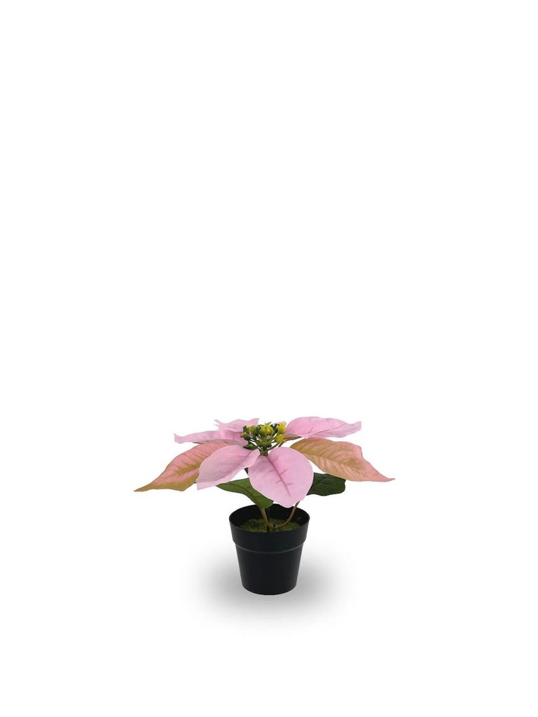 Bonsái artificial de 1 cabeza de Flores de Navidad simuladas - Planta decorativa