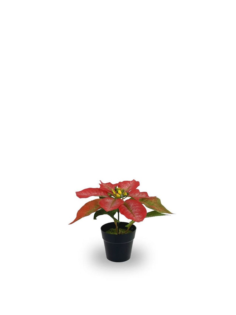 Bonsái artificial de 1 cabeza de Flores de Navidad simuladas - Planta decorativa