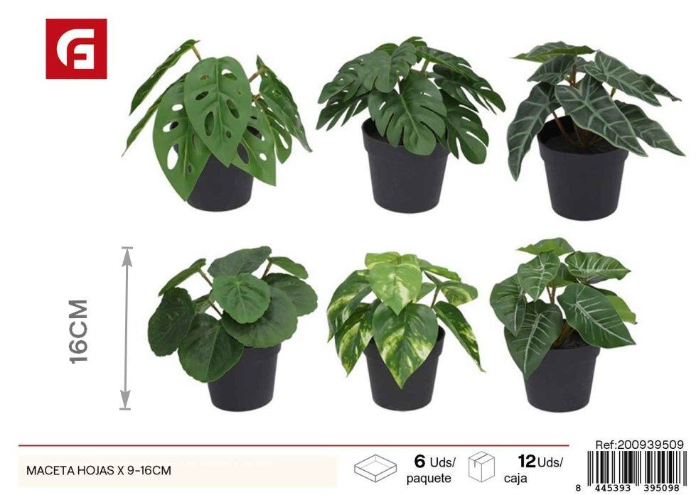 Maceta con hojas x 9-16cm - Jardinería y decoración