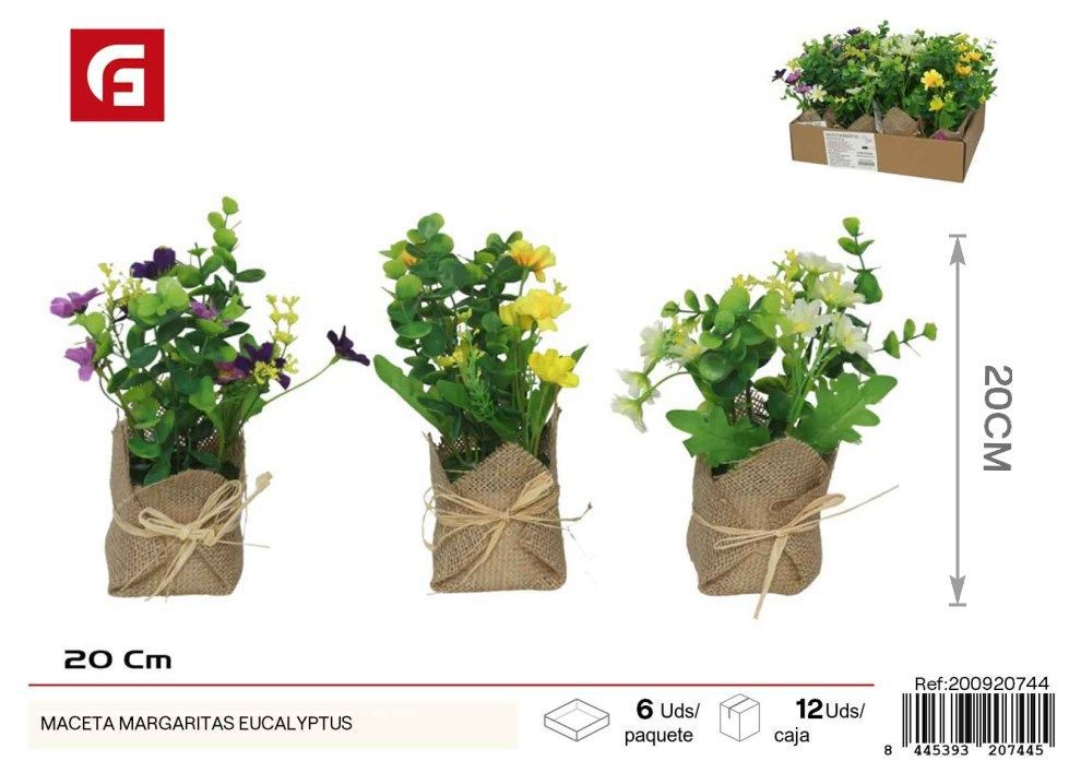 Maceta de margaritas de eucalipto - Decoración para jardines