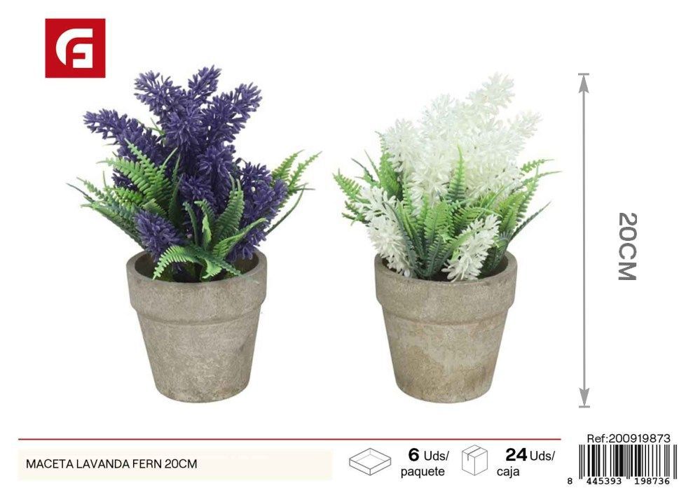 Maceta de lavanda fern de 20 cm - Decoración para jardines