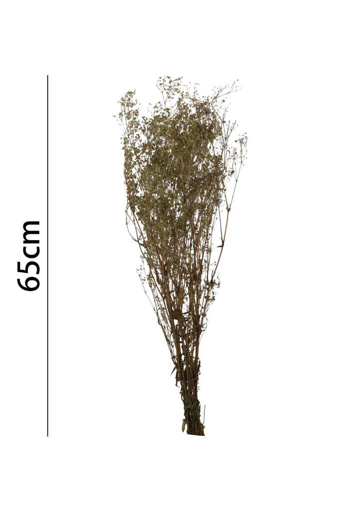 Gypsophila preservada 65 cm - Flores artificiales