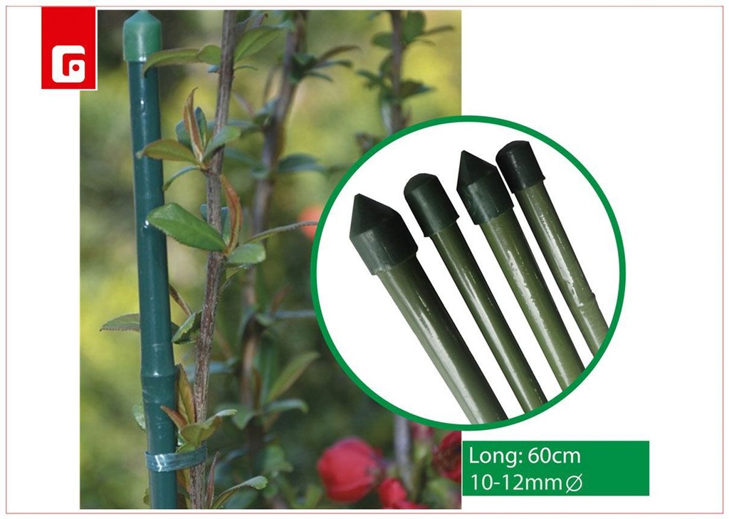 Tutor de bambú 60 cm diámetro 10-12 mm - Apoyo para plantas y jardín