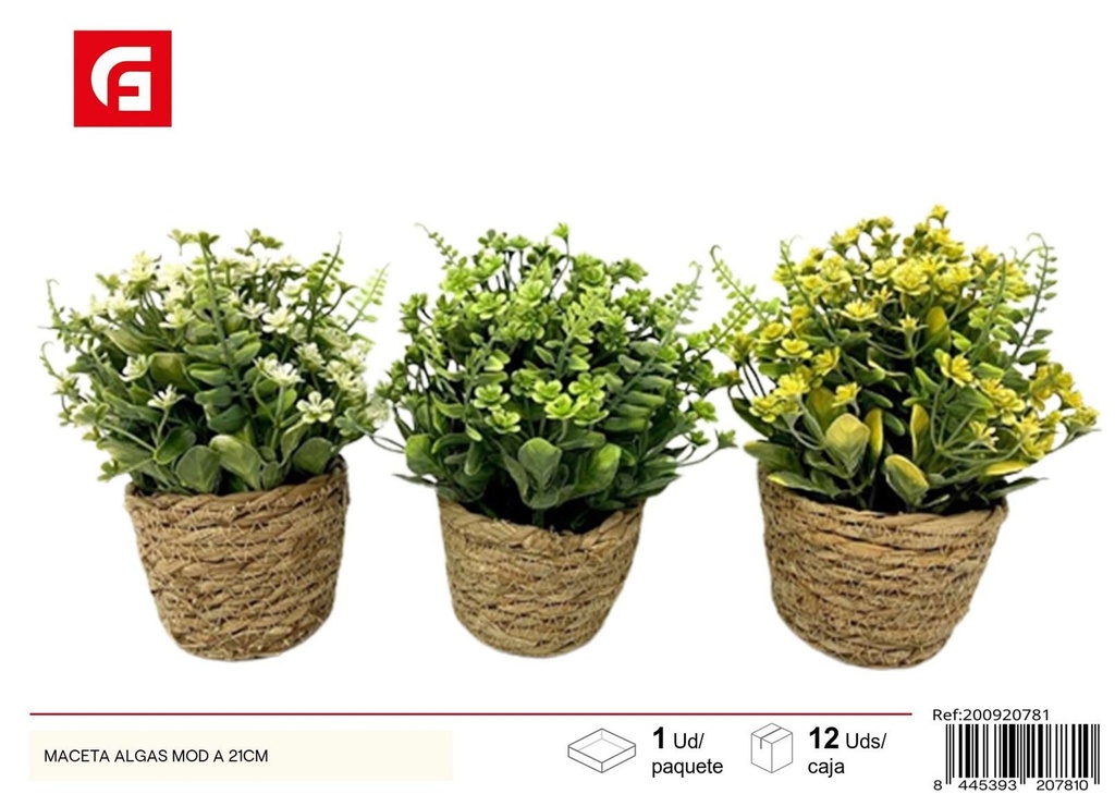 Maceta moderna de algas de 21 cm - Accesorios decorativos para jardín