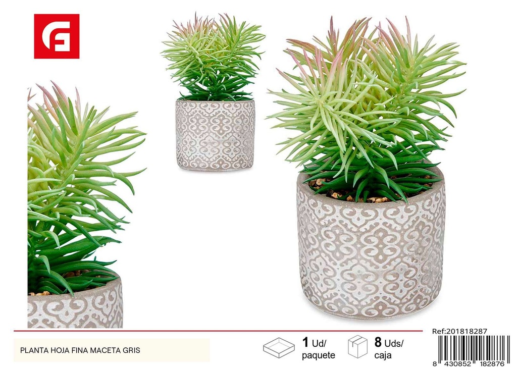 Planta hoja fina en maceta gris - Jardinería y decoración de interiores