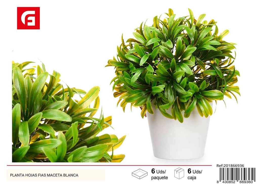 Planta de hojas en maceta blanca - Jardinería y decoración de interiores
