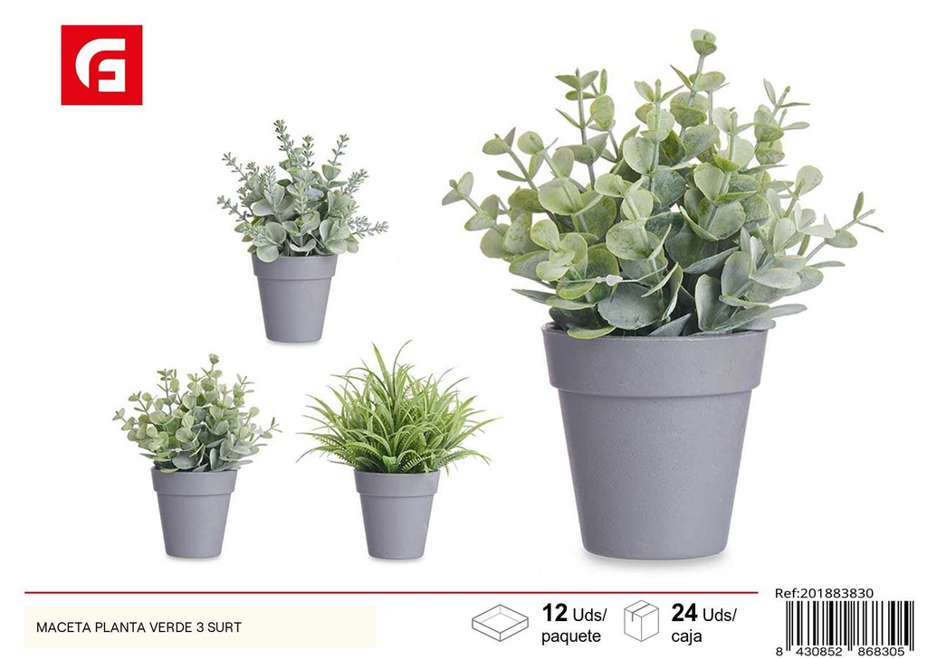 Maceta planta verde surtido 3 col. - Jardinería y decoración de exteriores