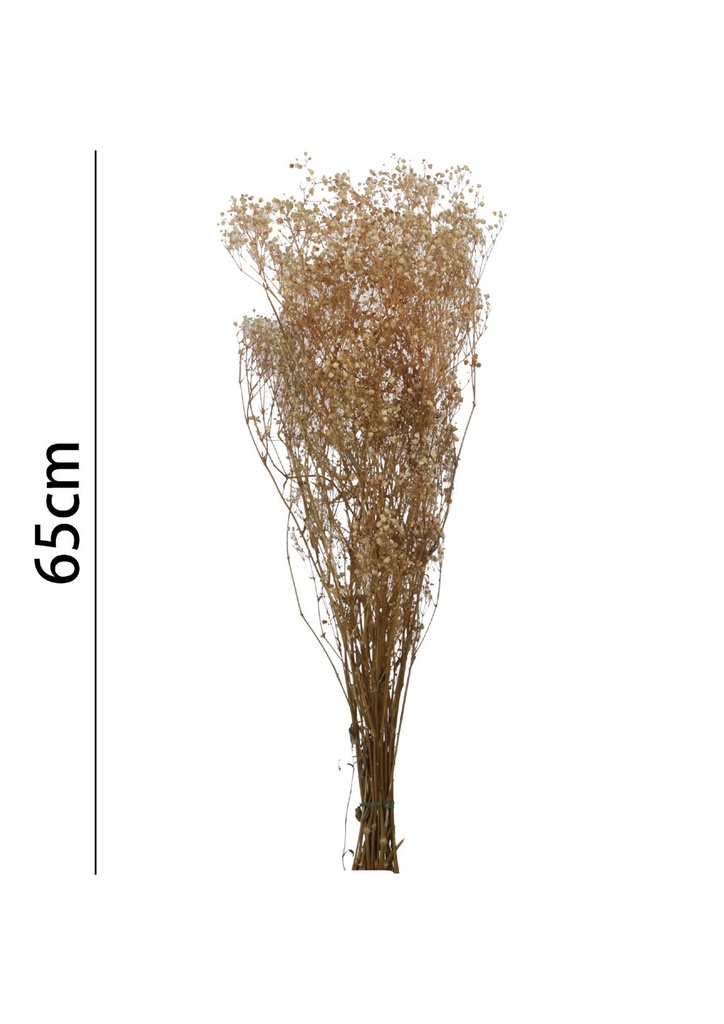 Ramo de flor de gypsophila preservada de 65cm - Novedades