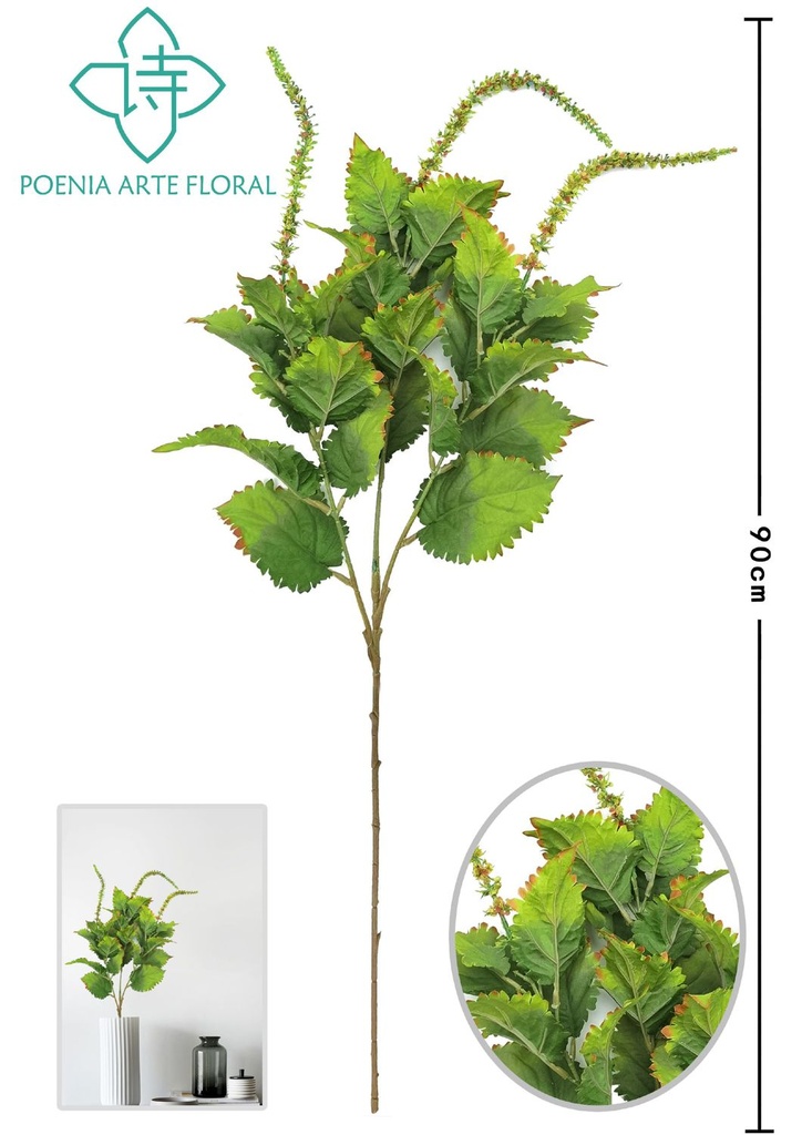 Rama de hojas de albahaca verde - Accesorios decorativos