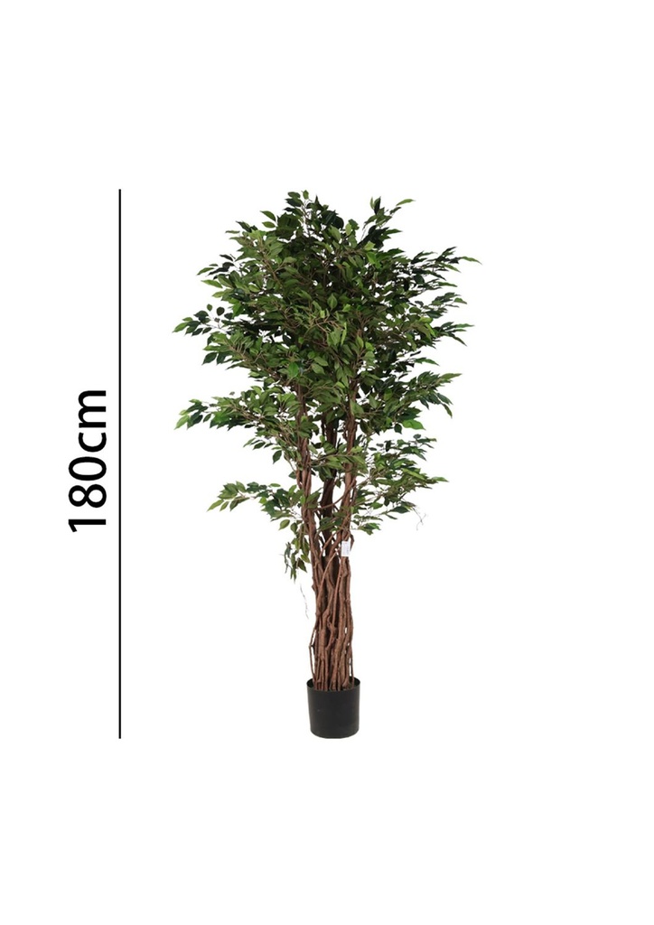 Mini árbol de ficus 180 cm con maceta - Plantas decorativas