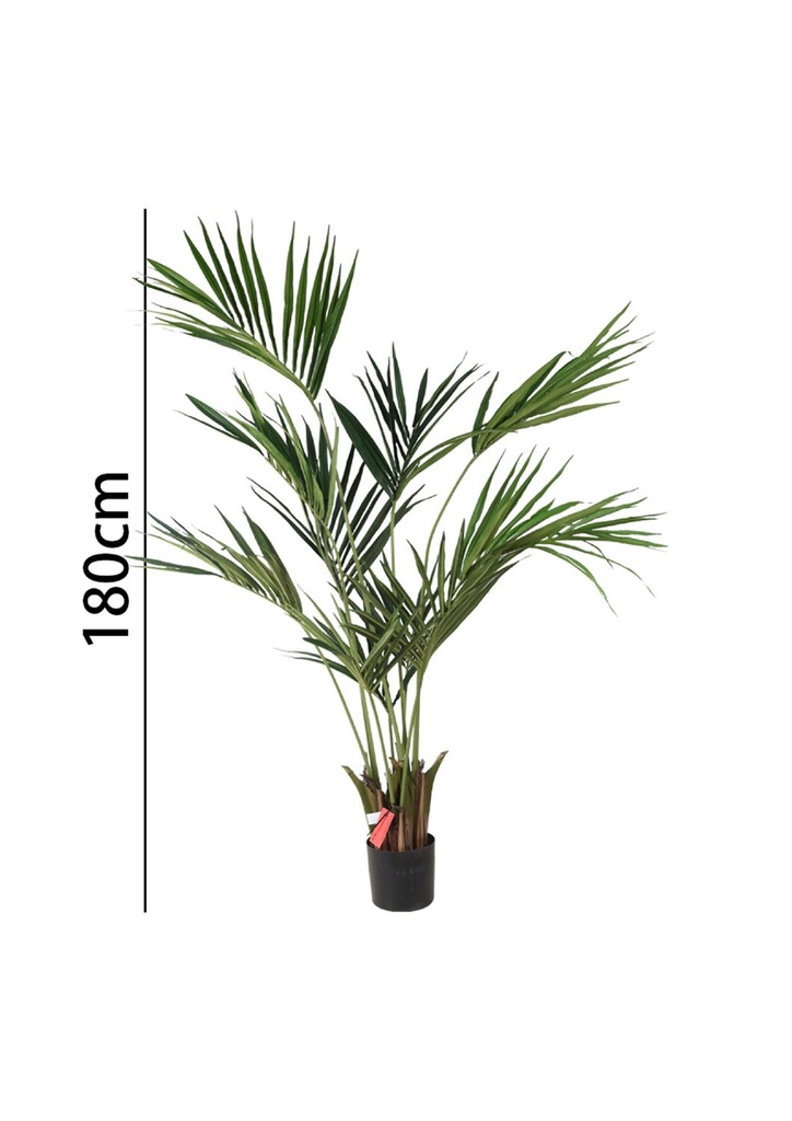 Palmera Kentia 180 cm con maceta - Plantas decorativas