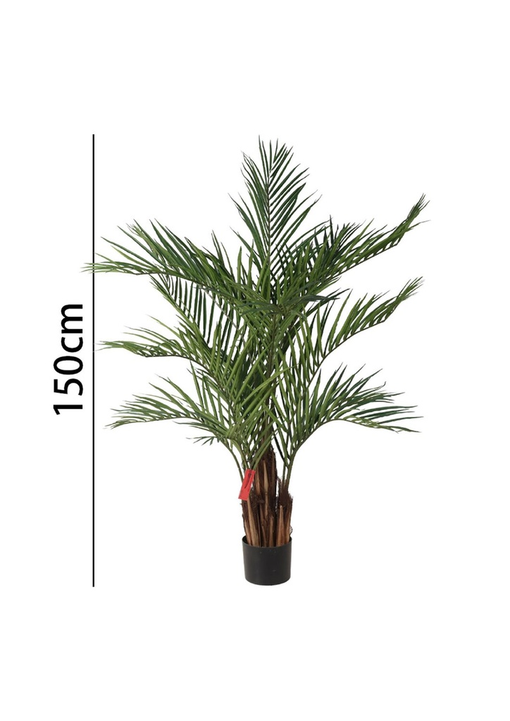 Palmera 150 cm con maceta - Plantas decorativas