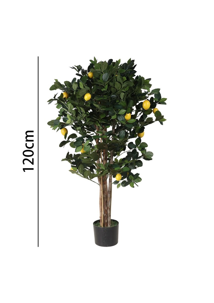 Limonero 120 cm con maceta - Plantas decorativas