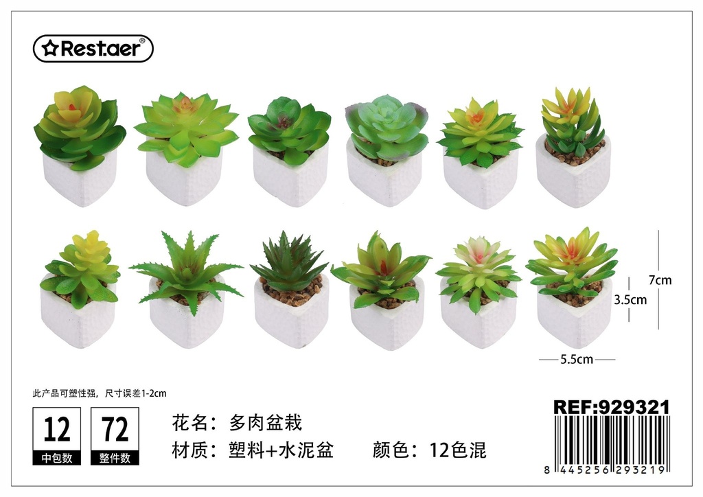Planta suculenta 7 cm - Elementos decorativos y estilos compactos