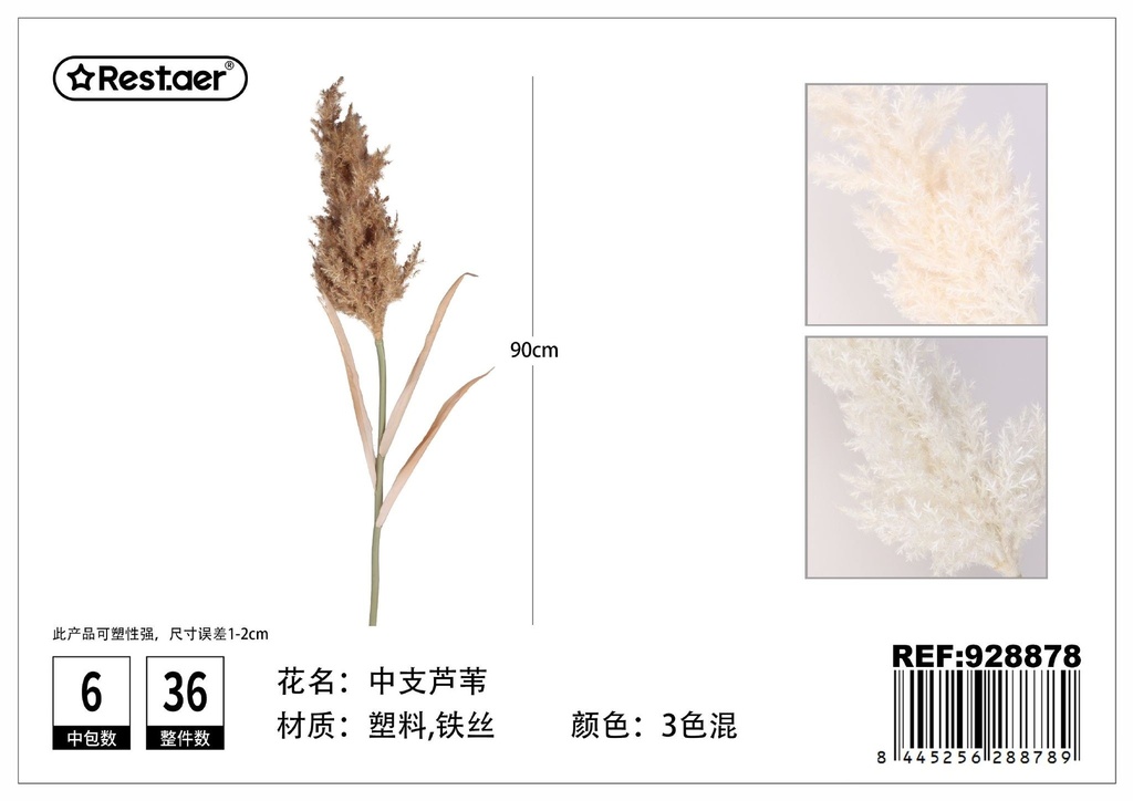 Ramo de caña mediana 90cm - Flores secas decorativas