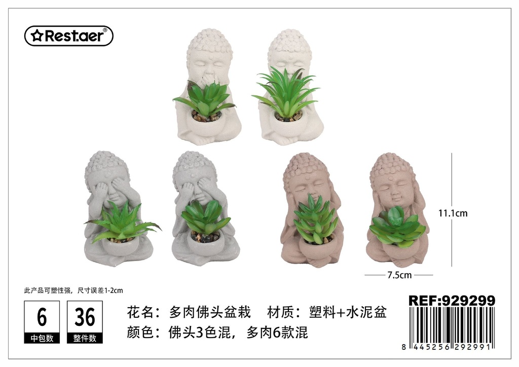 Planta suculenta de cabeza de Buda 11.1 cm - Jardinería moderna y elegancia sintética