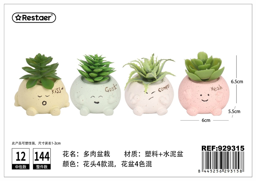 Planta suculenta 5 cm - Elementos decorativos y jardinería compacta
