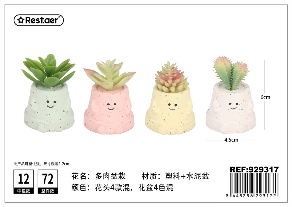 Planta suculenta 6 cm - Elementos decorativos y jardines elegantes