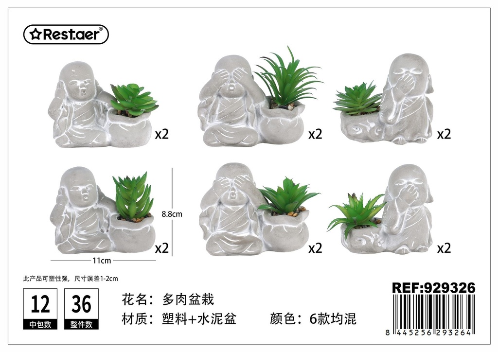 Planta suculenta de cabeza de Buda (11x5.5x8.8 cm) - Jardinería moderna y decorativa