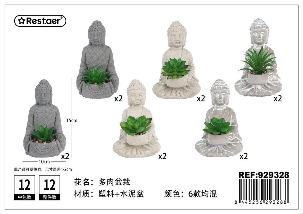 Planta suculenta de cabeza de Buda (10x9.2x15 cm) - Jardinería decorativa y elegante