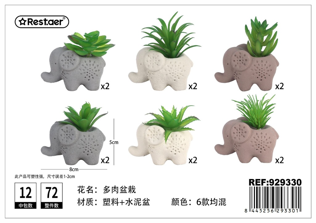 Planta suculenta de pequeño elefante (8x5x5/9.5 cm) - Diseño único y decorativo
