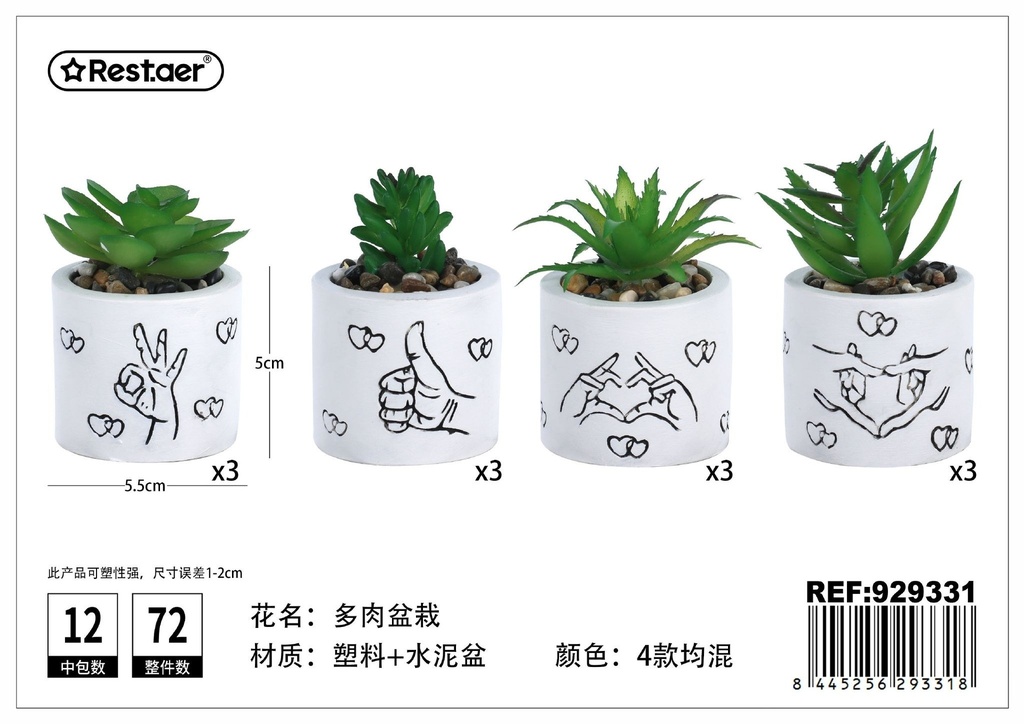 Planta suculenta (5.5x5x10 cm) - Elementos compactos y elegantes