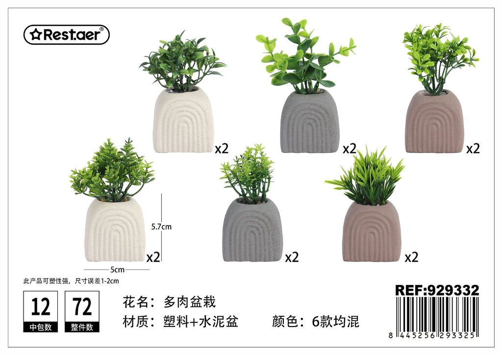 Planta suculenta (5.5x4.3x5.7/11 cm) - Jardinería estética y decorativa