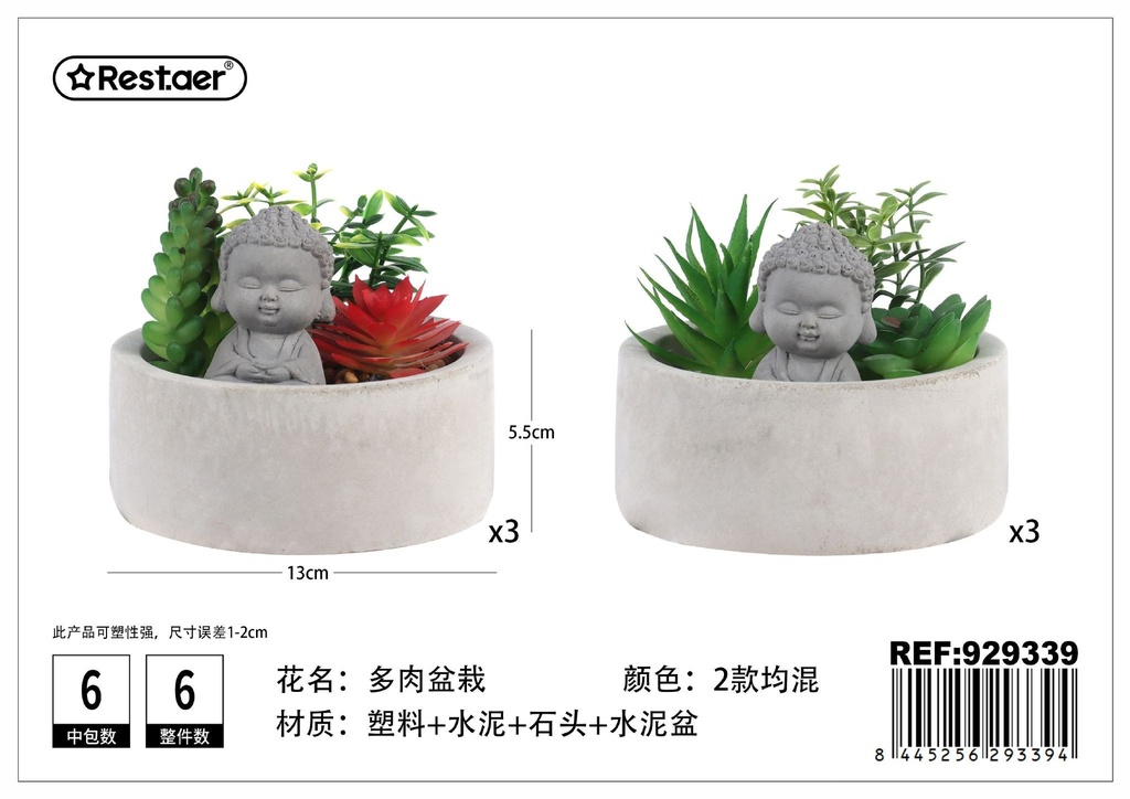 Planta suculenta (13x5.5x10 cm) - Jardinería compacta y elegante