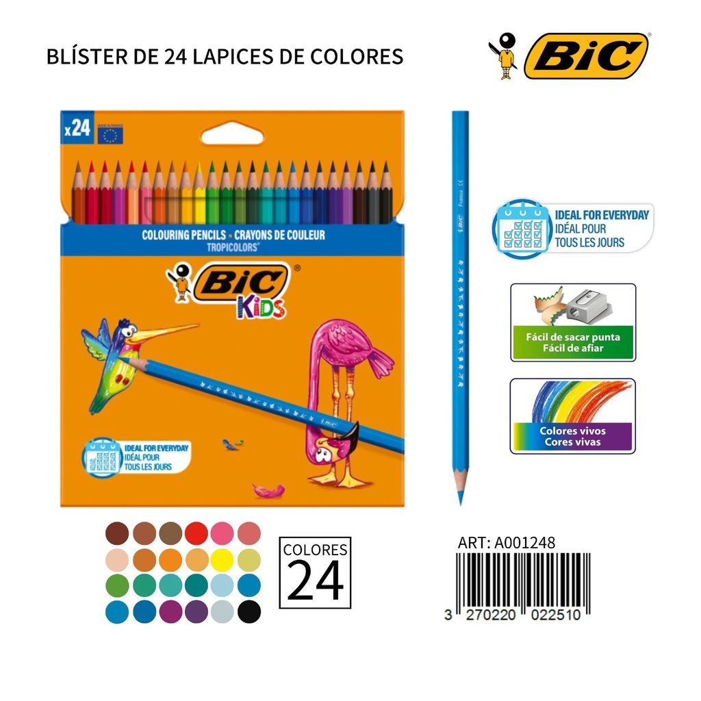 Lápices de colores BIC 24 unidades - Material de oficina