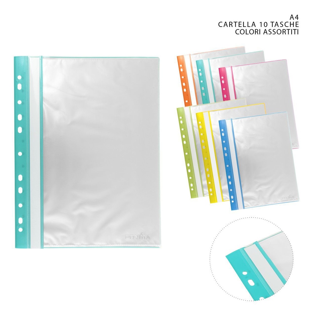 Carpeta flexible con agujeros de color A4 10 páginas - Carpeta de archivo