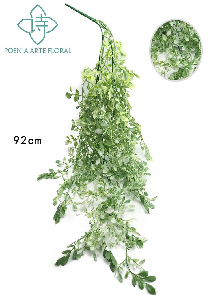 Rama de cola de paja 630293-2 - Decoración natural