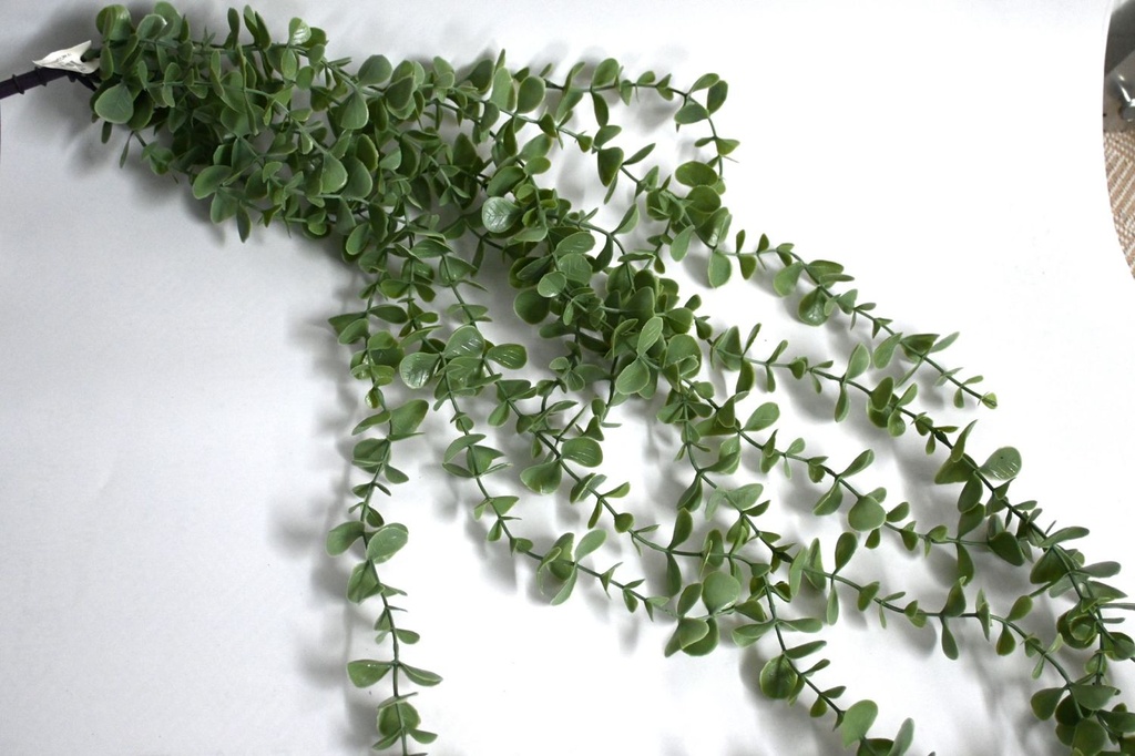 Rama de eucalipto suave 11叉87cm para decoración