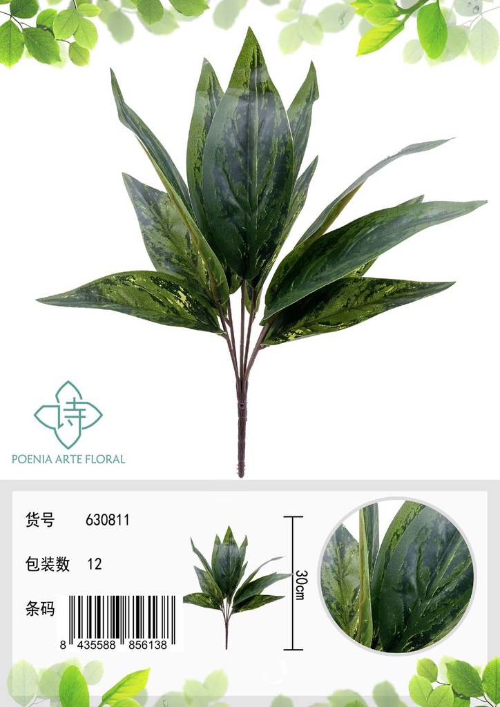 Espina de hoja de planta eterna verde 11 hojas - Plantas decorativas