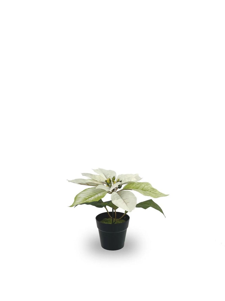 Planta de Navidad (matiz oro y plata) - Decoraciones navideñas