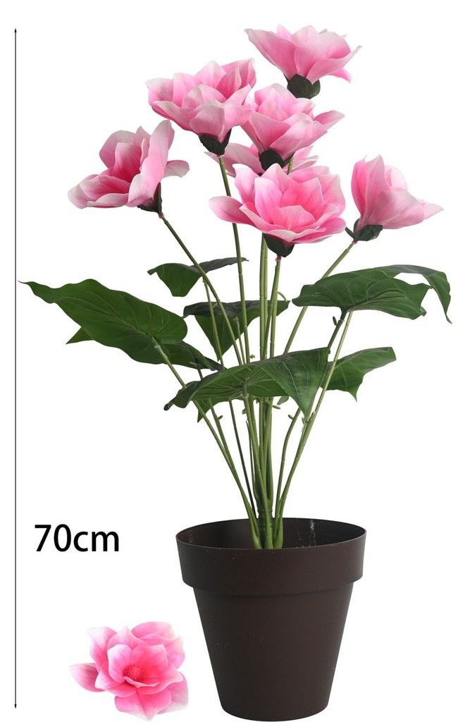 Planta de 18 cabezas de magnolia con maceta rosa - Decoración