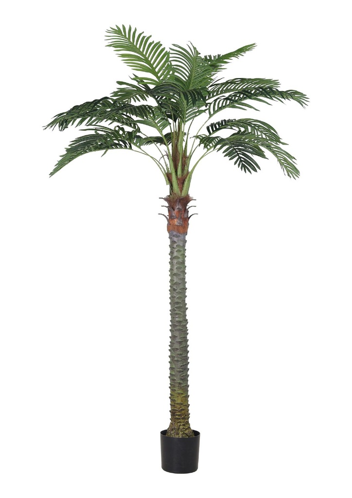 Planta artificial de 210cm de lentisco - Decoración de interiores