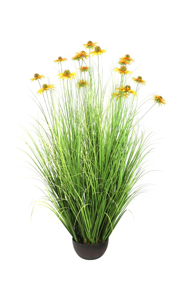 17 cabezas de crisantemos 120 cm - Plantas de interior