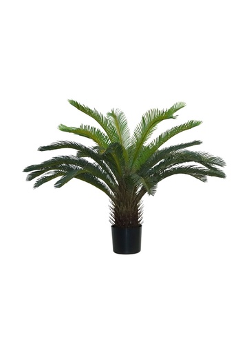 [631268] Sisyrichum artificial 31.5" (80 cm) - Plantas decorativas y naturaleza
