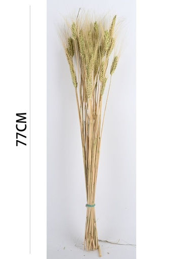[7152VERDE] Flor seca 7152VERDE - Decoración natural