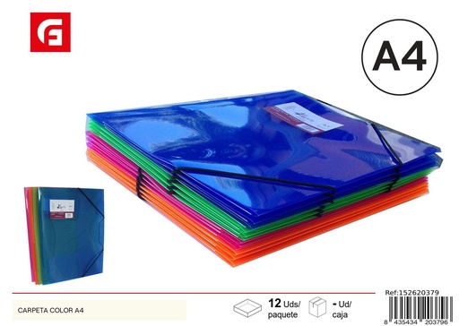 [152620379] Carpeta A4 de color - Material de oficina para archivadores