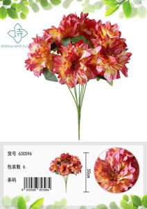 [630596-橘色] Ramo de dalias de 7 cabezas - Ramo decorativo
