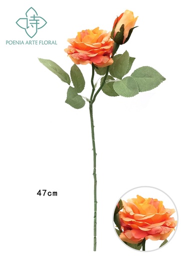 [630393-4] Ramo de rosas de aceite nuevos en color naranja - Decoración floral